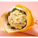 안의꽃사랑 이미지