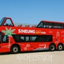 시티투어 - 동구 중앙대로214번길 7-8 | 시티투어
