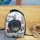 양지동물병원 이미지