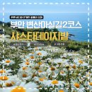 GR(부안군)-[격포로]-하-2 | 지금 딱 100%만개 부안 변산 샤스타데이지 실시간 개화현황+주차, 근처가볼만한곳까지