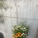 임종호커피파주점 이미지