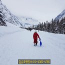 행정사김승호사무소 이미지