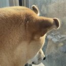 카페송림 이미지