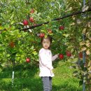 채령농장 이미지