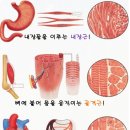 헬스story 이미지