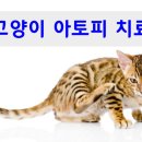 동광주약국 이미지