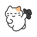 토니카음악학원 이미지