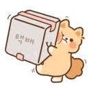 카페트라슈 이미지