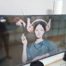퀀텀파트너스 | 아이팔콘 TCL의 50인치 4K QLED 스탠드 티비 내돈내산 구매후기