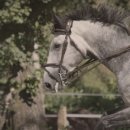 (주)엑스포라인 이미지