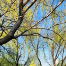 해남여인숙 이미지