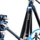 버드코리아 이미지