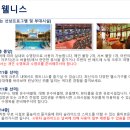 고고월드크루즈야