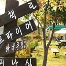 팀매드 이미지