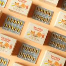 강아지스푼 이미지