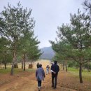 (재)천주교수원교구유지재단안성추모공원 | [기행안내] 3/23 광명 봄나들이 기행