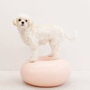 투게더동물병원 이미지