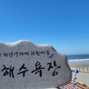 동호바다횟집