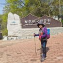 도봉산 진달래, 우위암, 마당바위 등반, 벚꽃잎(박숙자), 여행의 기쁨 이미지