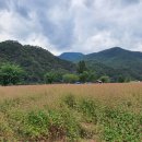 삼옥2리마을회관 이미지