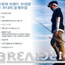 솔트필드 이미지