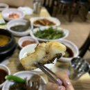 신안바다장어 이미지