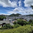 동진다향원