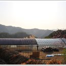 새참하우스 이미지