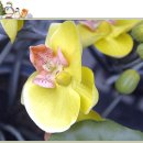 동인천지하상가 이미지