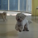 멈머즈