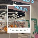 건강매트(방문판매) | [수원 펫용품, 펫샵, 펫사료] 몰리스펫샵 스타필드 수원점 내돈내산 방문후기