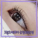 오늘도예쁘다눈썹속눈썹 효자동본점