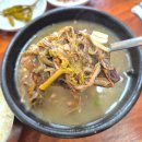 동복 군내버스 주차장 | 제주공항 근처 아침식사 맛집 용두네 해장국 돔베고기집 먹거리