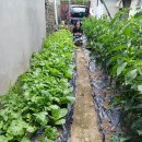 논공공단주유소 이미지