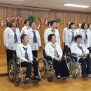 귀일민들레집 이미지