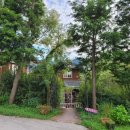 섬진강 플로렌스 이미지