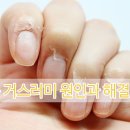 프라임네일 이미지