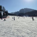 모나 용평리조트 스키장 렌탈샵 겨울바라기 리프트권 할인 후기