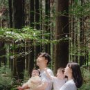 제주 그믐 | [제주도 스냅 후기] 섣달 그믐 스냅