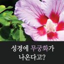 송독 이미지