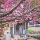 돌담여행사 이미지