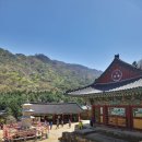 강림순대