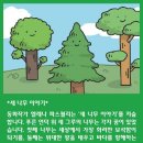 나무이야기 이미지