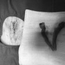 기장i동물의료센터 이미지