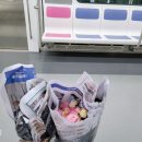 더리시안 이미지