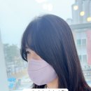 루덴헤어 이미지