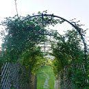 고센 펜션 이미지