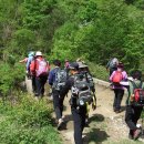 금남목장 이미지