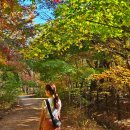CU(양주오봉산점) | 근교 가을 단풍 명소 &#39;북한산 우이령길 (북한산 둘레길 21구간) 오봉산 석굴암&#39; 예약 산책로 트래킹 코스