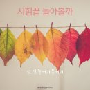 이벤트헤어샾